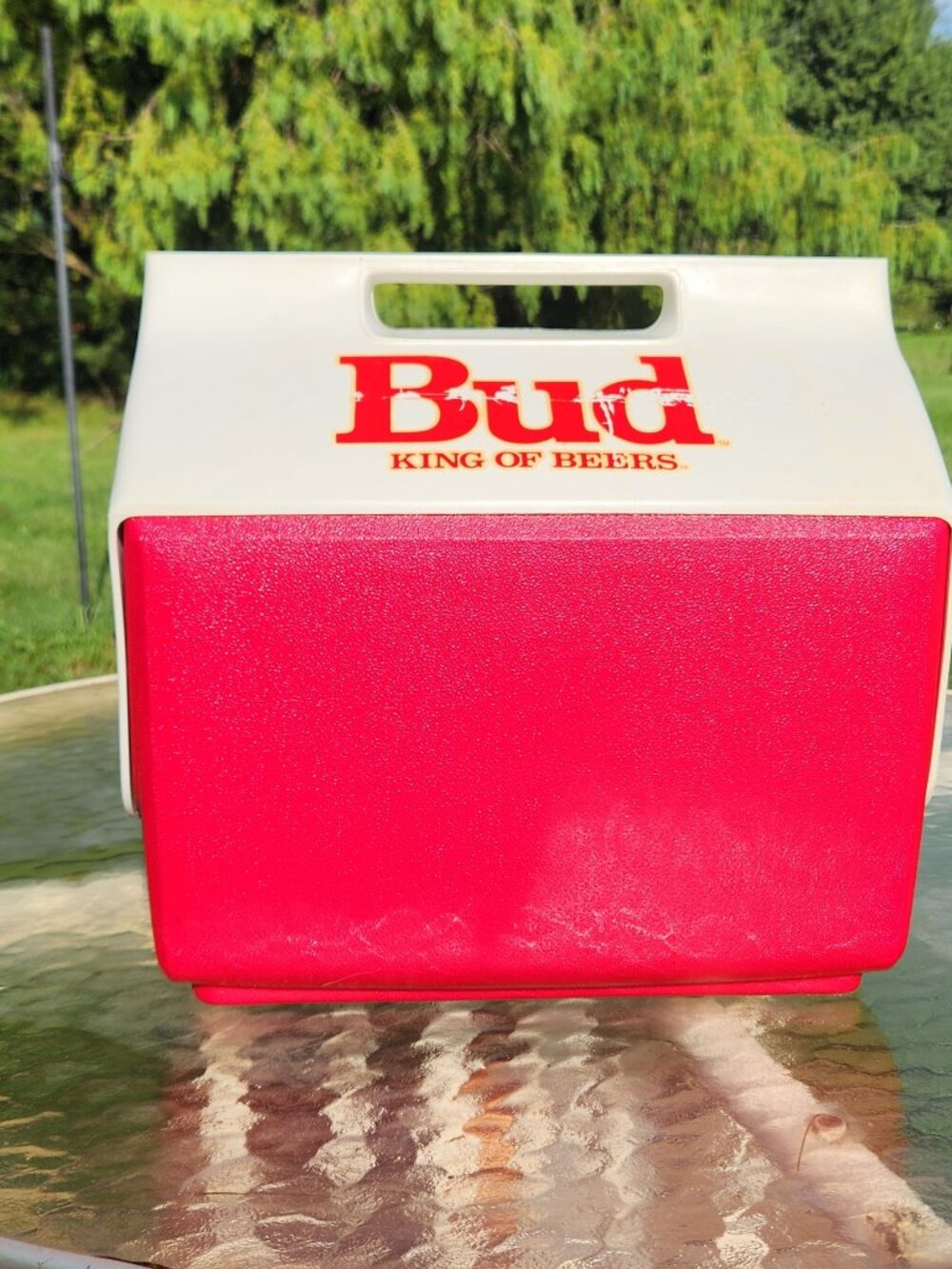 Budweiser Igloo Cooler with original box